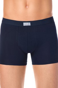 Модель Shorts 700 темно-синий DIWARI